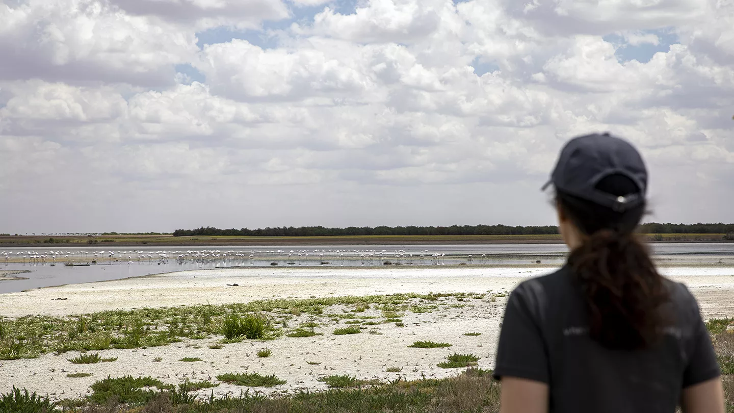 Aramco Europe employee looking at the Fundación Global Nature salt steppes in the La Mancha region of Spain