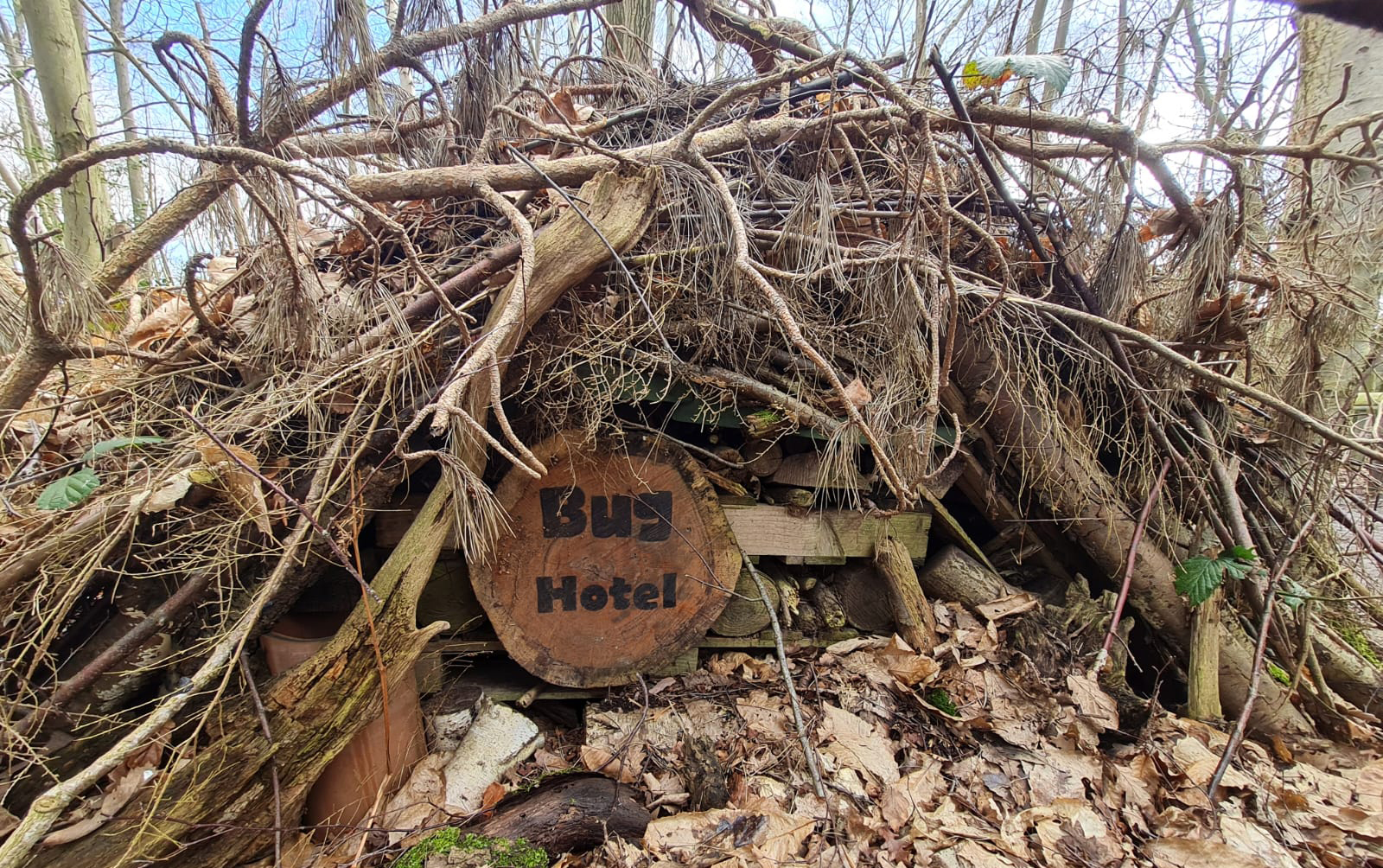 A bug hotel built from twigs, logs and leaves