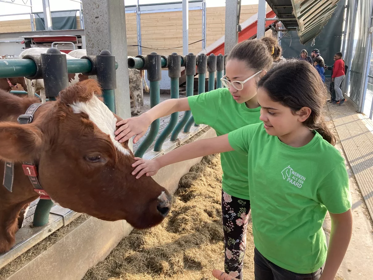  Aramco Europe Citizenship project