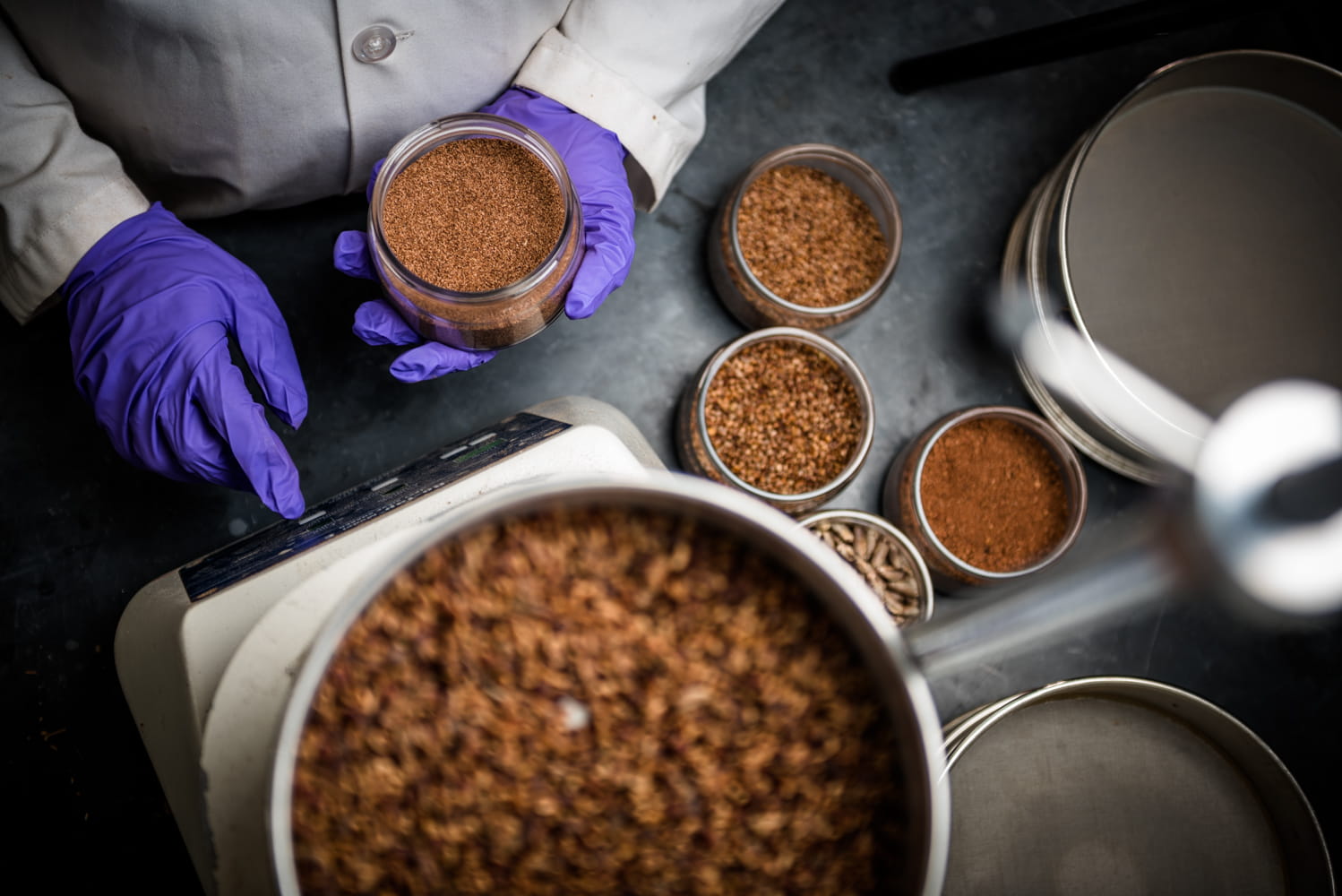 Hands of Saudi Aramco scientist with date seed material which forms ARC Plug