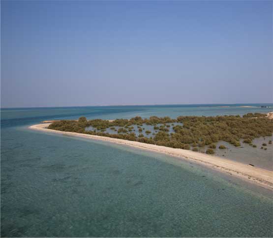 Abu Ali, an area in the Gulf coast