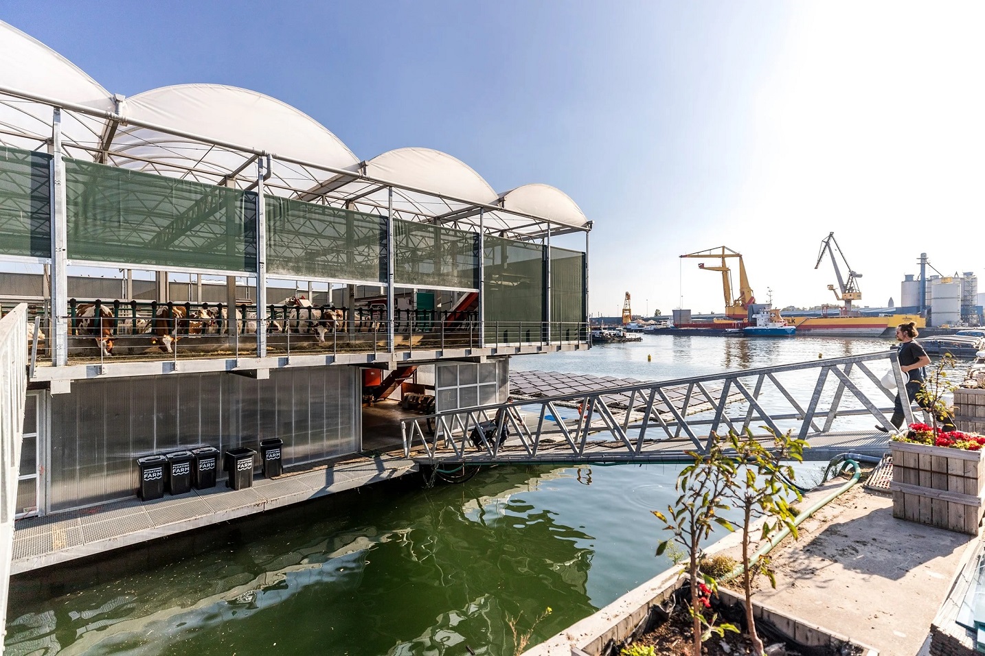 Floating Farm in Rotterdam, the Netherlands